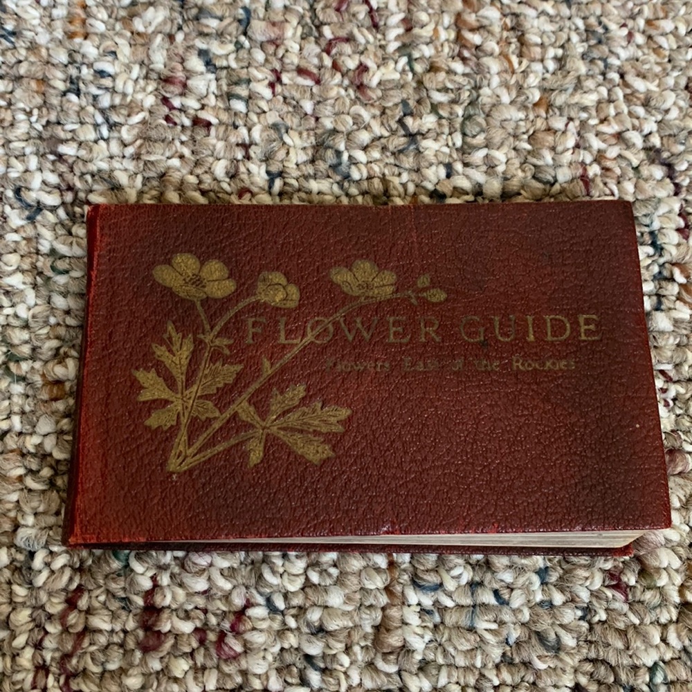 Flower Guide Wild Flowers East Of The Rockies Revised Edition 1930 Pocket Book